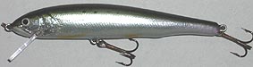 WB12SFR銀箔ヒメ