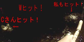 W�q�b�g�I