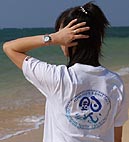 釣人白